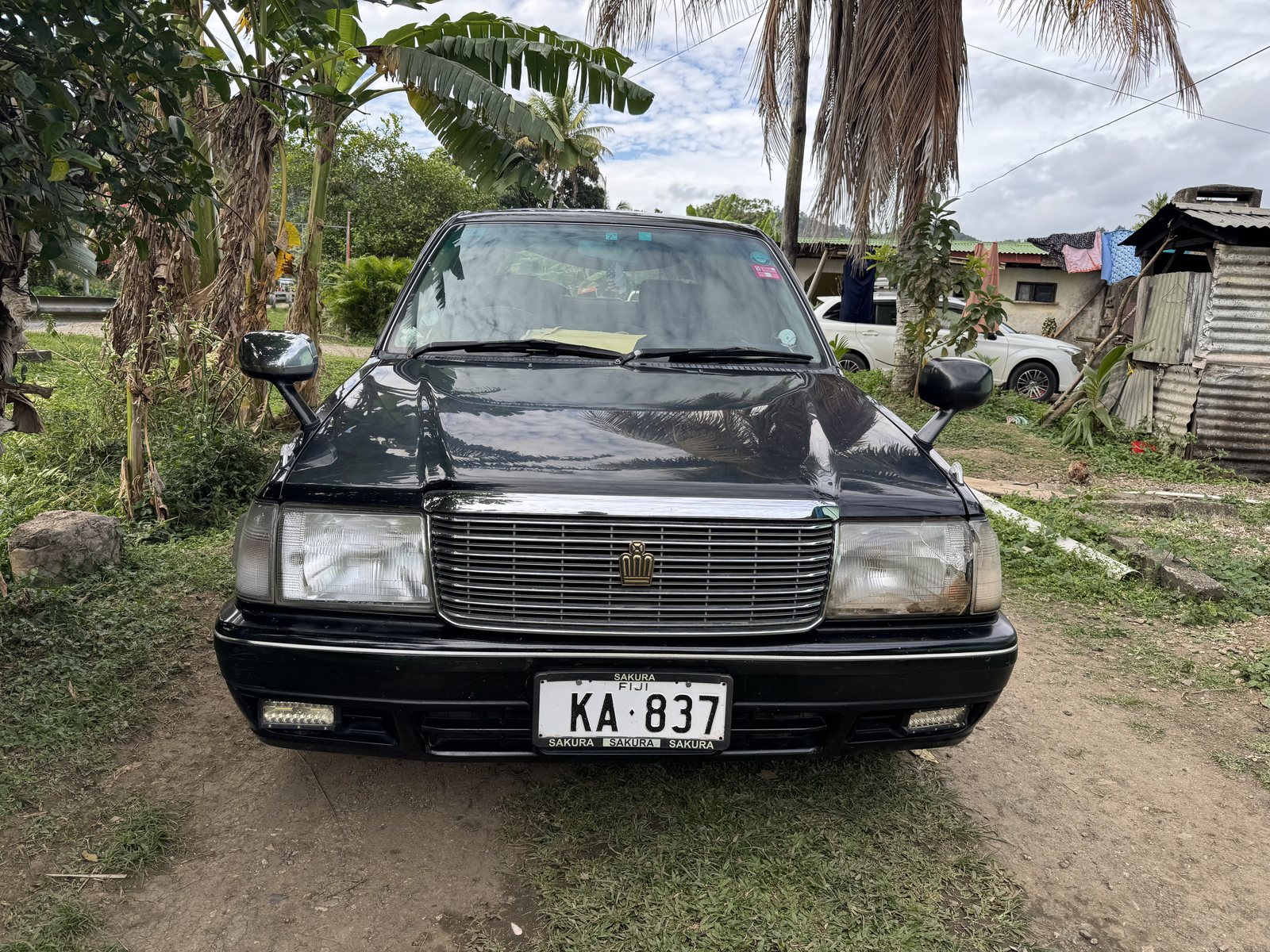 A classic sedan under palm trees