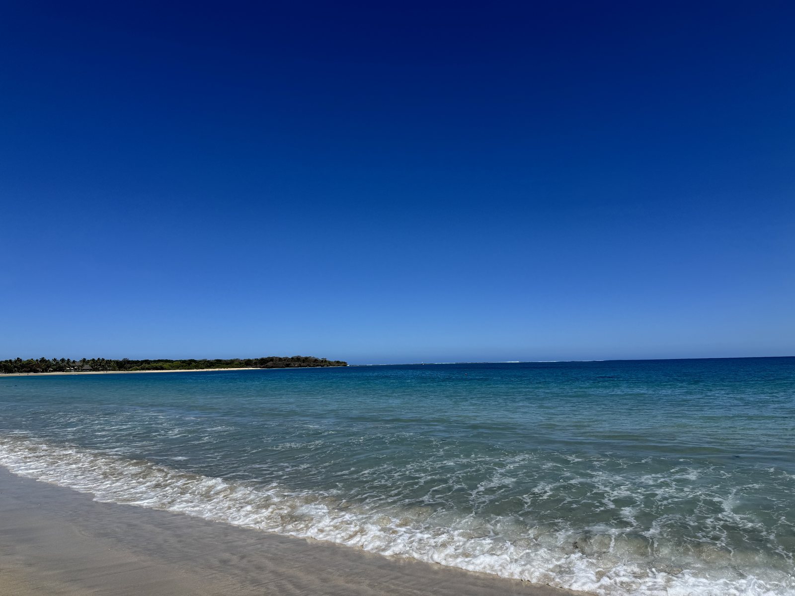 Beach under a clear blue sky