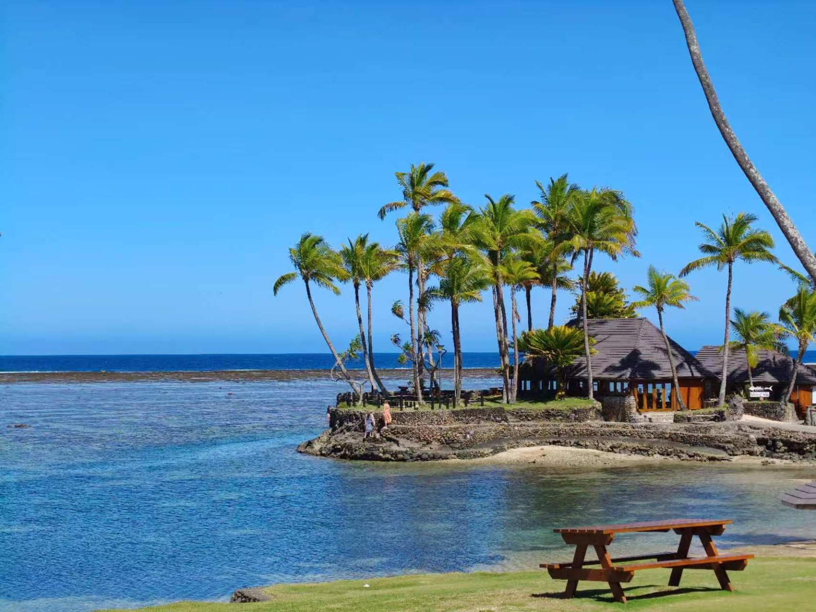 Palm trees on a small island