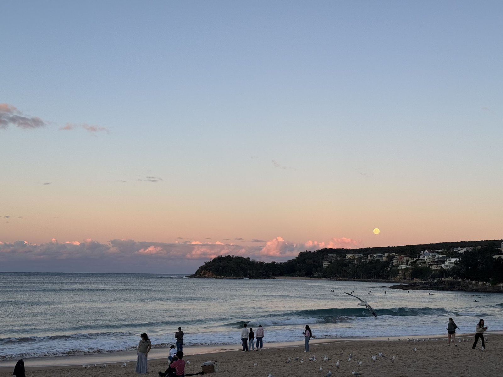 Beach at sunset