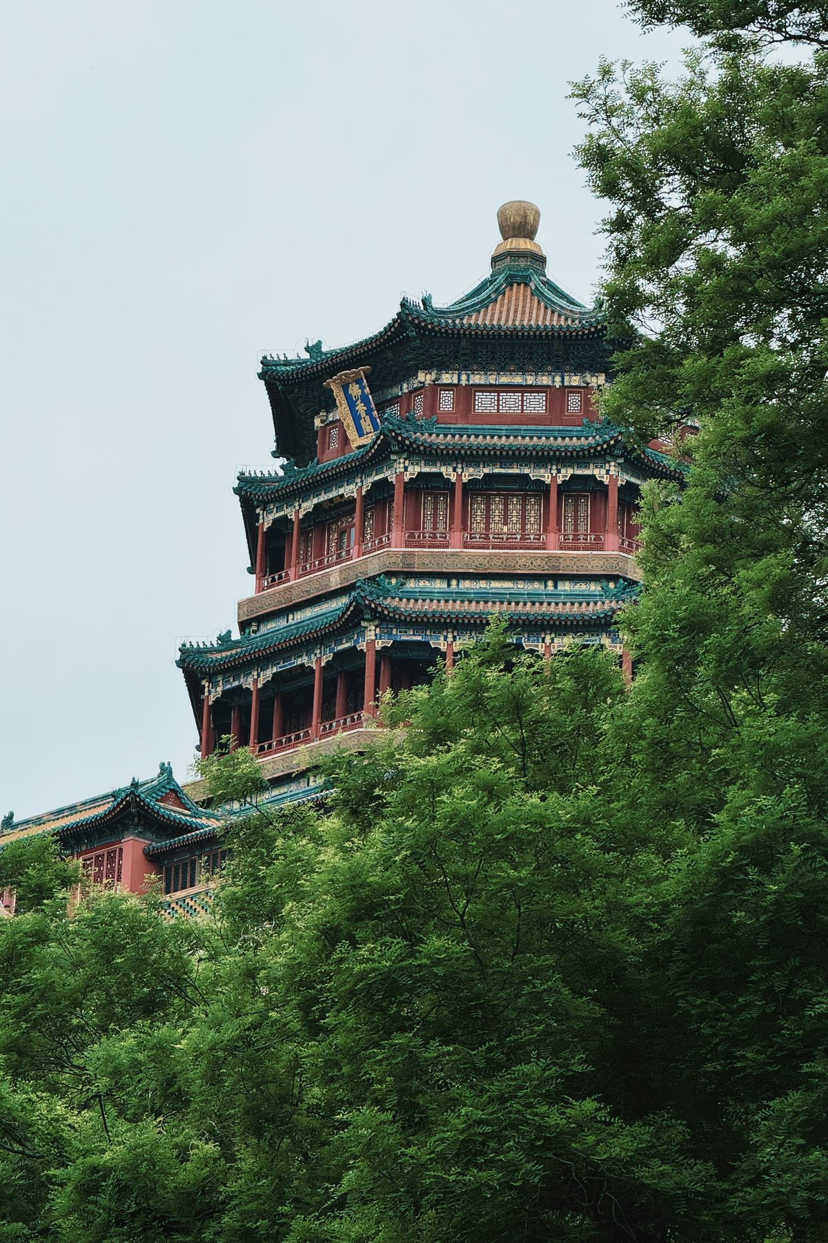 Chinese pavilion above the trees