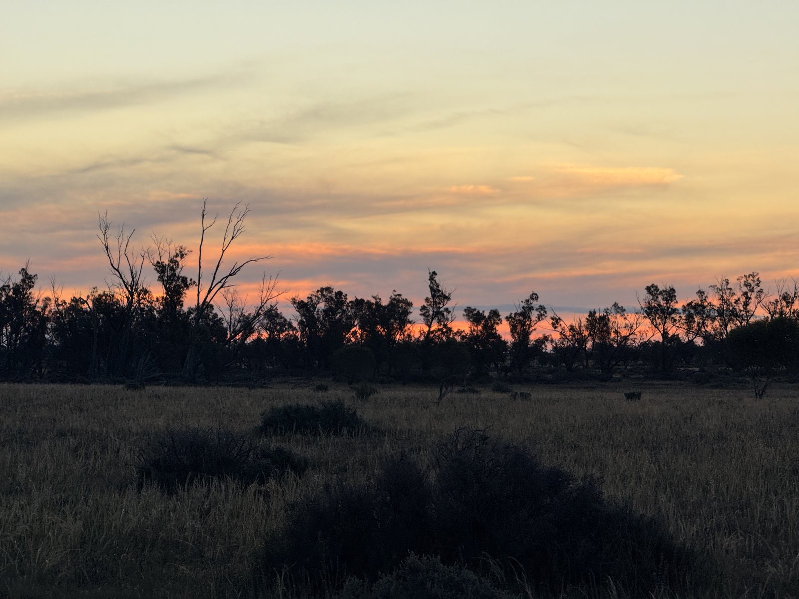 Sunset over the bush